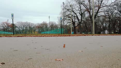 El-Estacionamiento-Del-Parque-Mcgraft-Cubierto-De-Hojas-A-Fines-Del-Otoño-Y-Principios-Del-Invierno