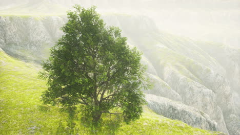 hermoso paisaje de niebla en la toscana