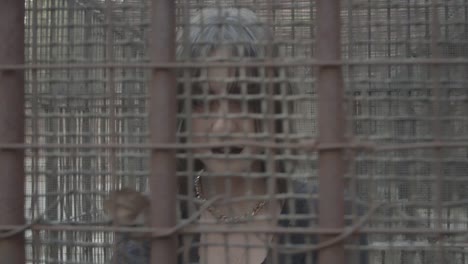 A girl in a black dress with expressive makeup standing in an iron cage with a contemptuous expression
