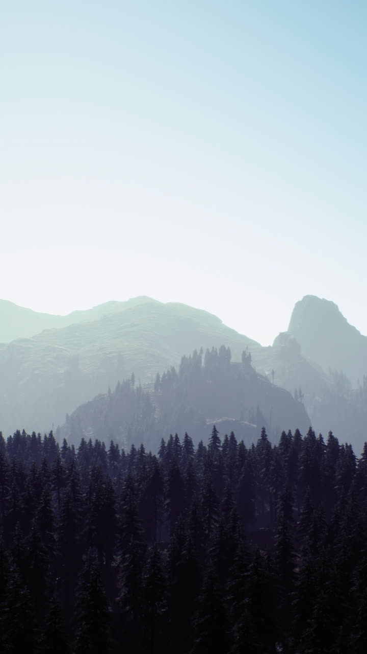 Majestic sunrise over mountains with silhouette of pine forest below