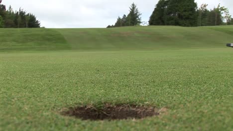 golf ball going into the hole