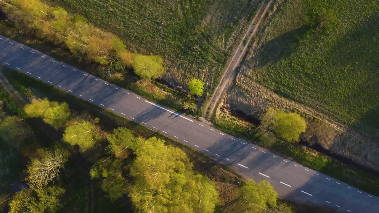 Forest Road: Drone Descent into Nature's Heart