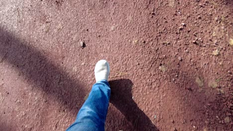 person walking on a dirt path