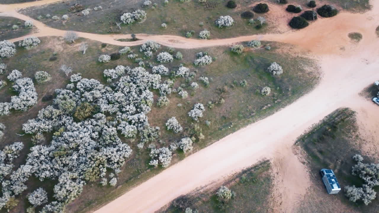 포르투갈의 해안선을 따라 절벽에 있는 모래길에 있는 식물과 덤불의 공중 도 촬영