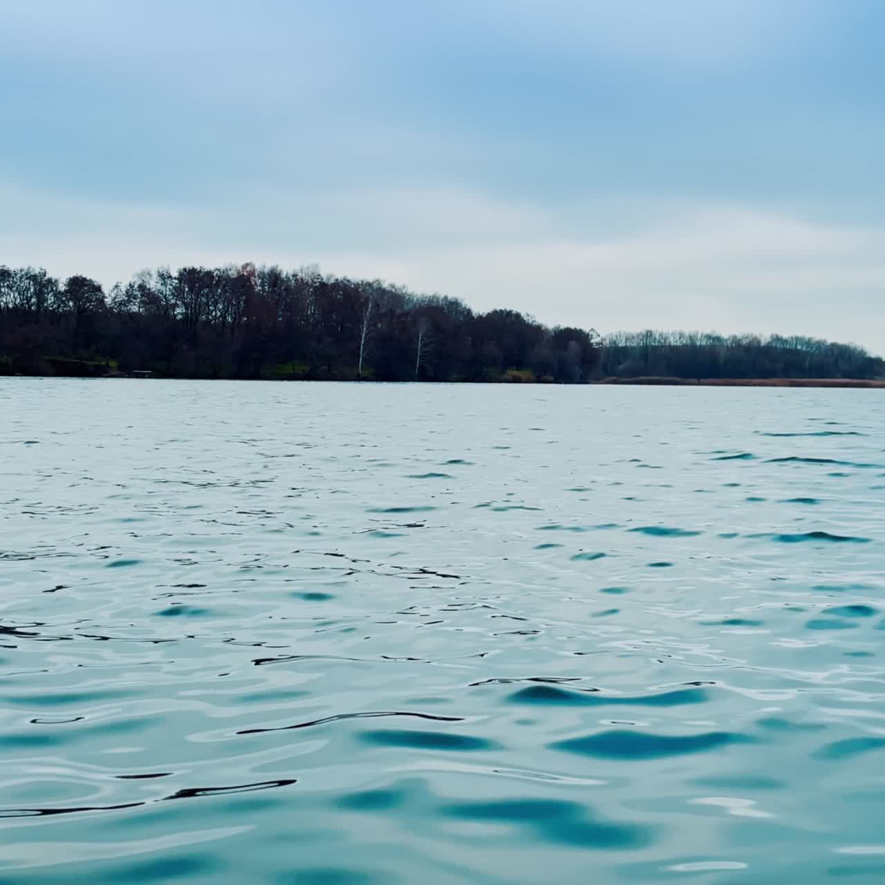 Wavy water of grey river in autumn. Sad dull dark bare trees growing at waterfront at backdrop. Grey daytime at nature in fall