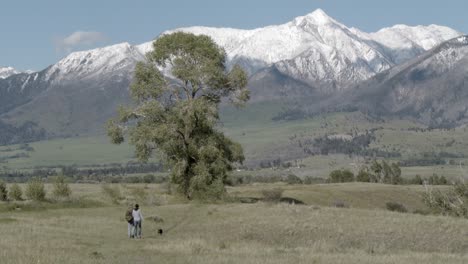 pareja paseando a un perro con montañas nevadas en la distancia