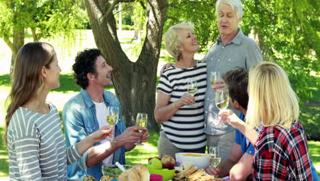 Family-having-picnic-in-the-park