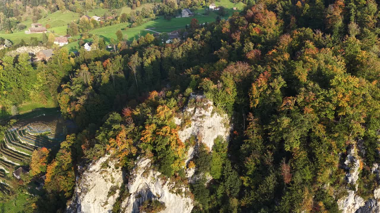 Aerial view of forested cliffs and vineyards above Walensee near Walenstadt Switzerland in autumn