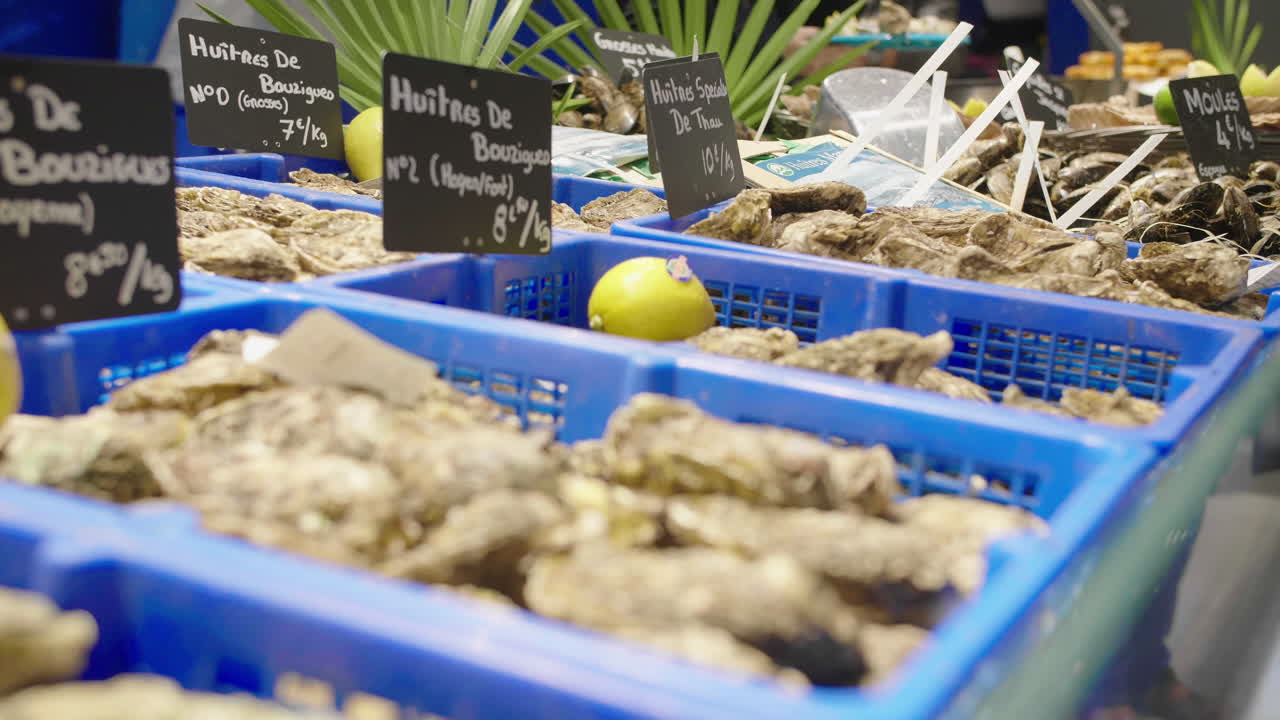 북해에 있는 노르망디 오스트리 농장 (normandy oyster farm in the north sea) 은 구름이 가득한 날에 촬영된 드론이다.