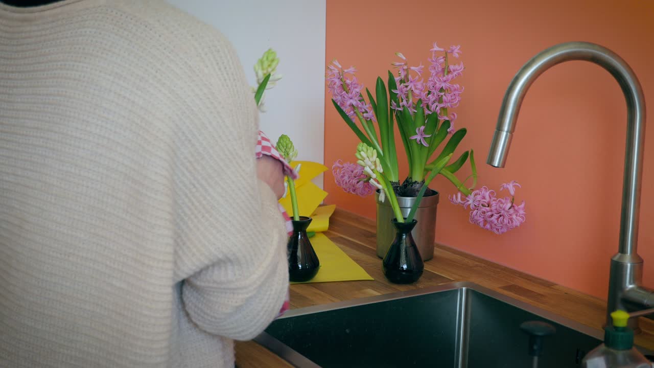 llenando jarrones de jacinto con agua