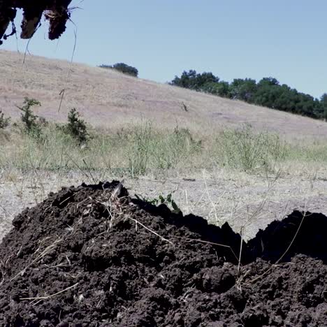 Backhoe-tractor-digging-up-a-leaking-water-line-on-a-hot-day-4