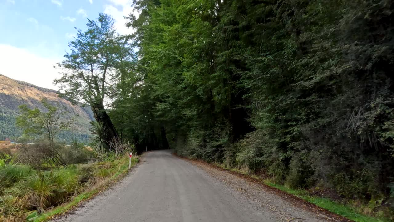 Vehicle travels down gravel road through lush forest, mountains visible, natural daylight, smooth forward motion