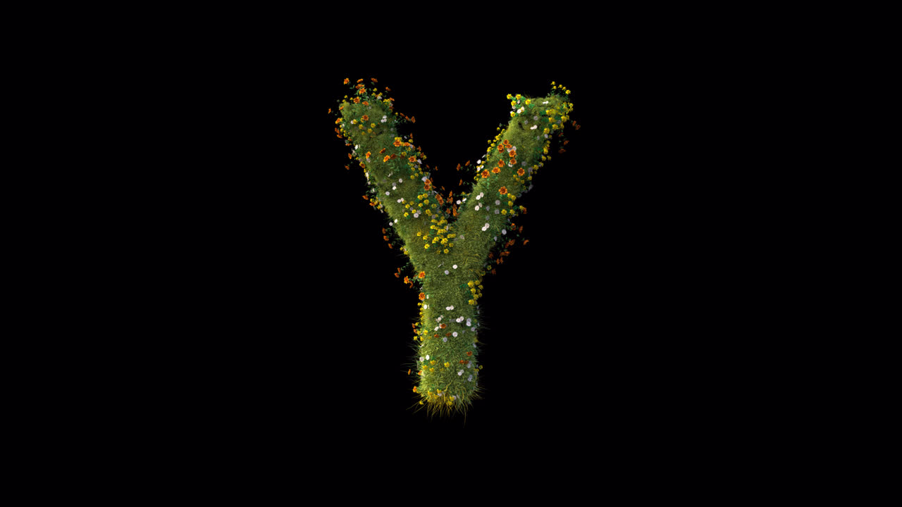Letter Y Growing with Green Grass and Colorful Flowers