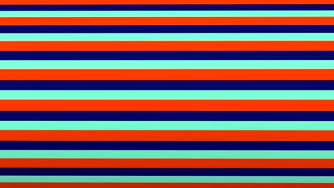 funky zebra. animal design. zebra skin background able to loop seamless 4k