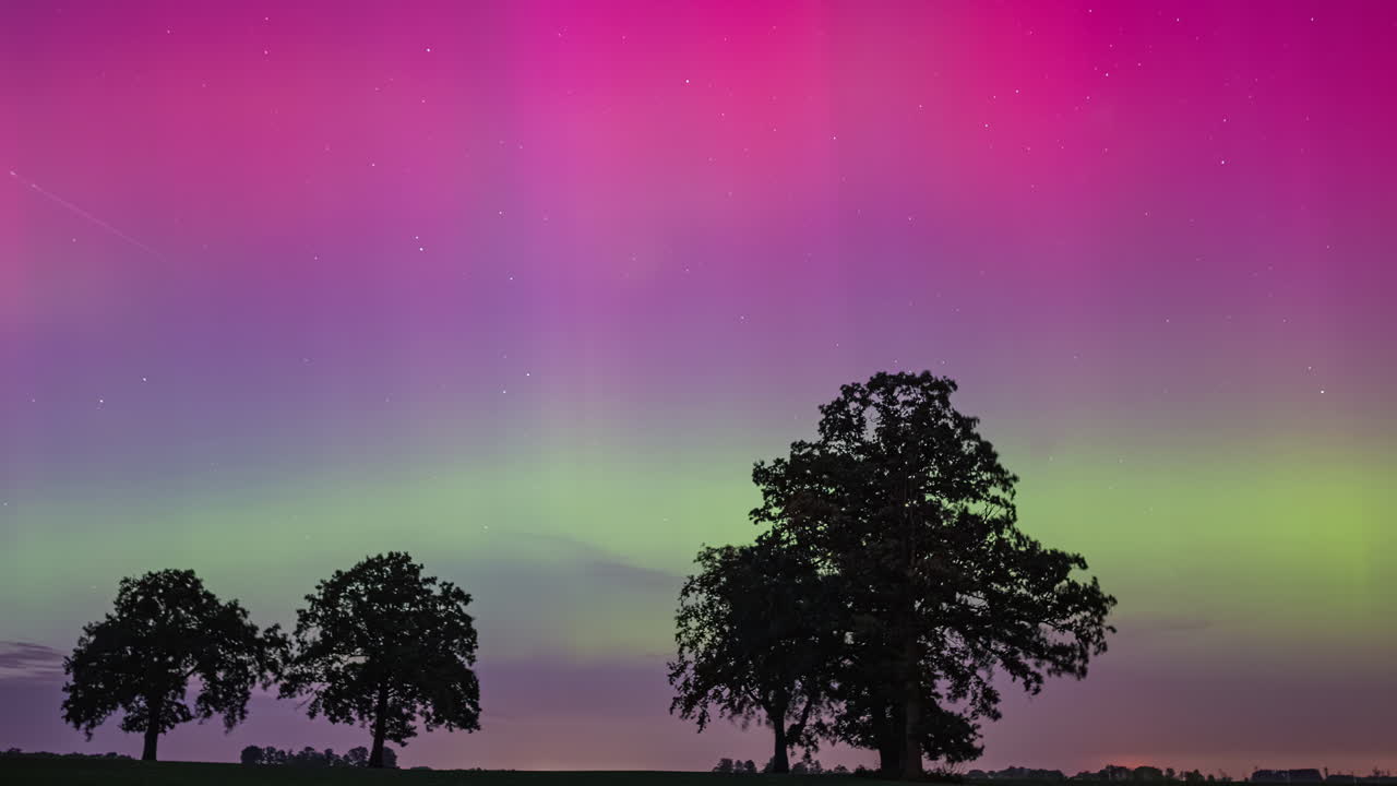 Trær i silhuett med fargerikt nordlys og meteorsverm om natten. timelapse