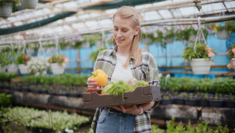 Joven-Agricultor-Examinando-Verduras-En-Invernadero