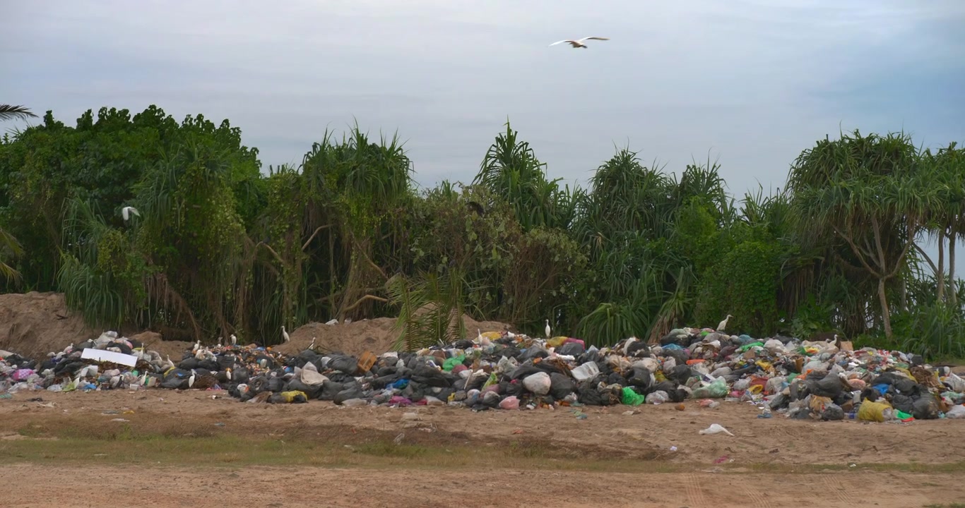 Wide static view of mixed garbage and plastic waste spread across roadside ground beside green tropical trees for environmental pollution and sustainability themes
