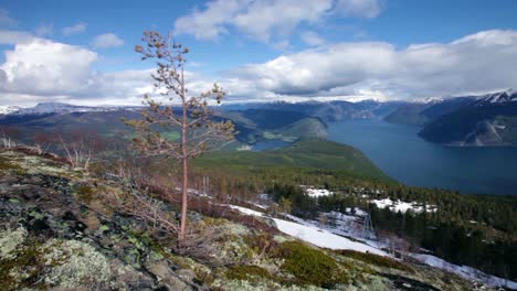 la hermosa naturaleza de noruega, el fiordo de sogne.
