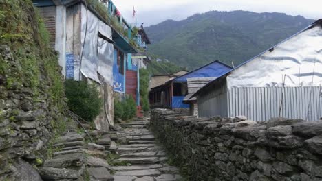 nepalese village in the annapurna region walk, tracking shot