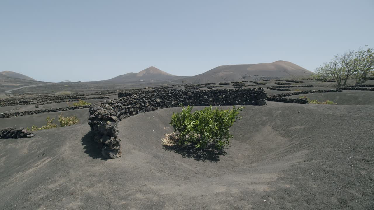 Scena panoramica di Lanzarote con i vigneti di La Geria, Isole Canarie