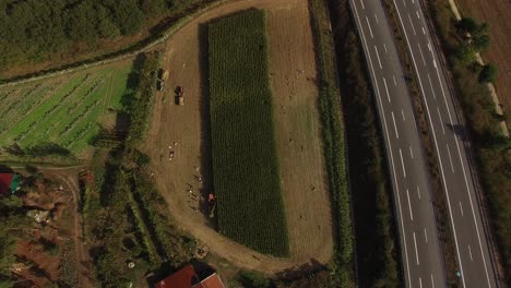 Vista-Superior-Del-Tractor-En-El-Campo-De-Maíz