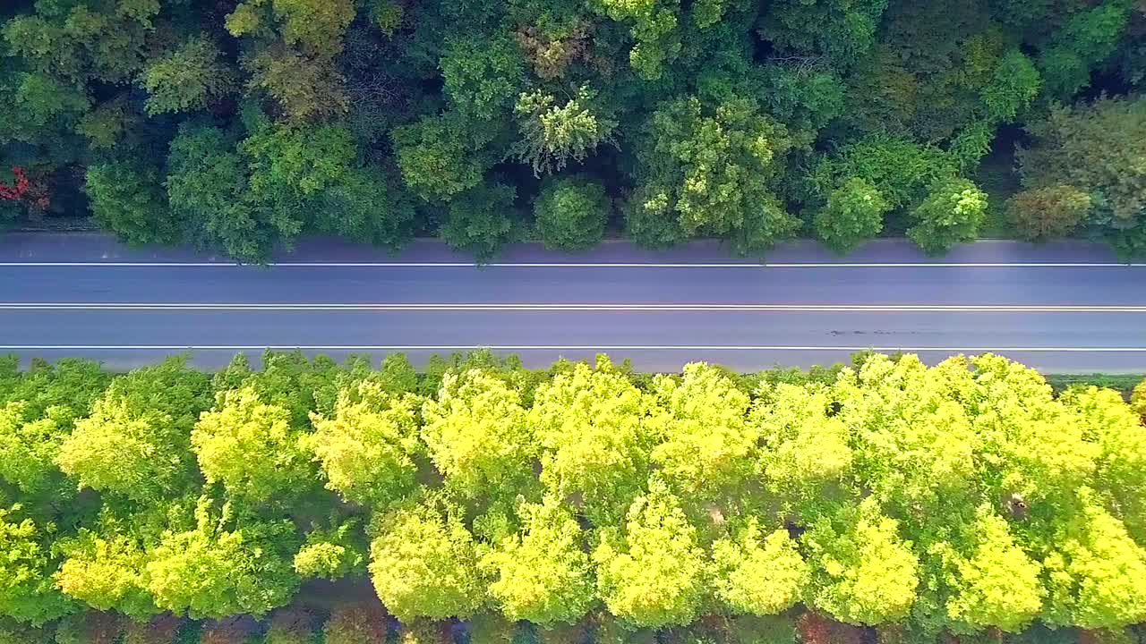 가을에 한국의 시골 도로의 공중 풍경