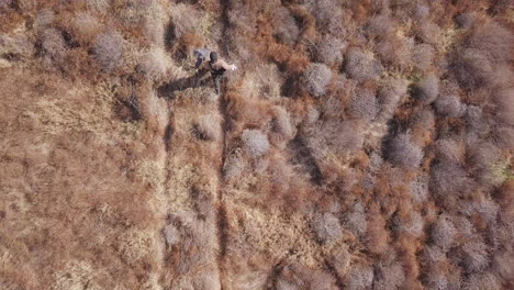 Top-Down-Male-Falconer-Walks-Down-Narrow-Brush-Desert-Path-with-Hawk