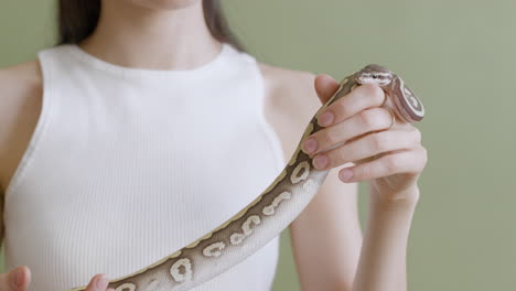 close up of a young woman with eyeglasses and a white sleeveless top holding a pet snake on a green background