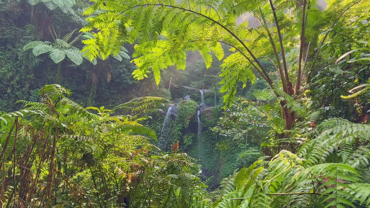 Scenic view of a jungle waterfall surrounded by vibrant ferns and exotic plants in tropical nature