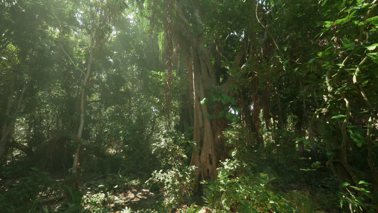 la luz del sol brillando a través de un denso bosque tropical