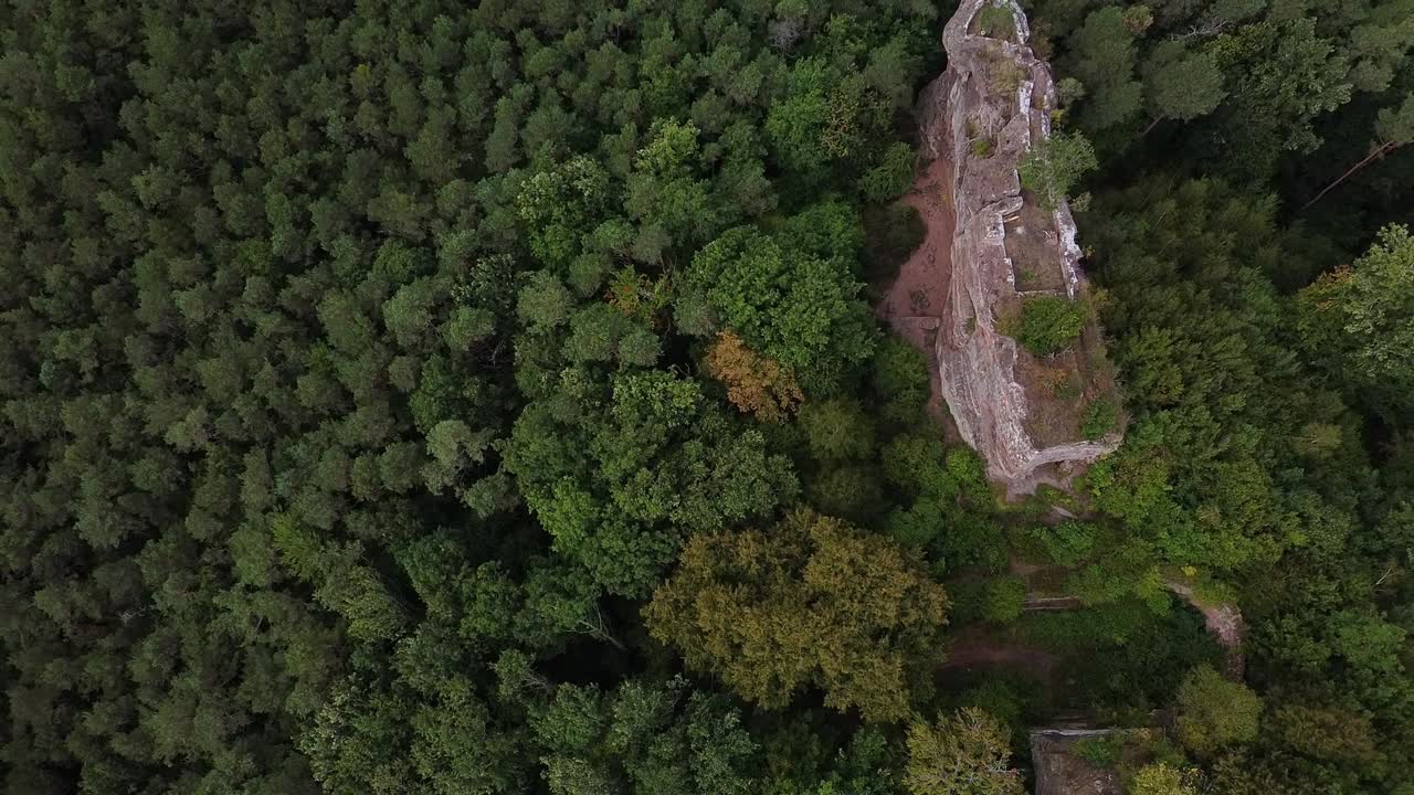 toma aérea de drones de la ruina del castillo burg drachenfels cerca de busenberg en el bosque del palatinado, alemania, vista de pájaro