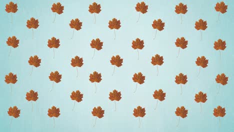 animación de filas de hojas de naranja de otoño sobre fondo azul