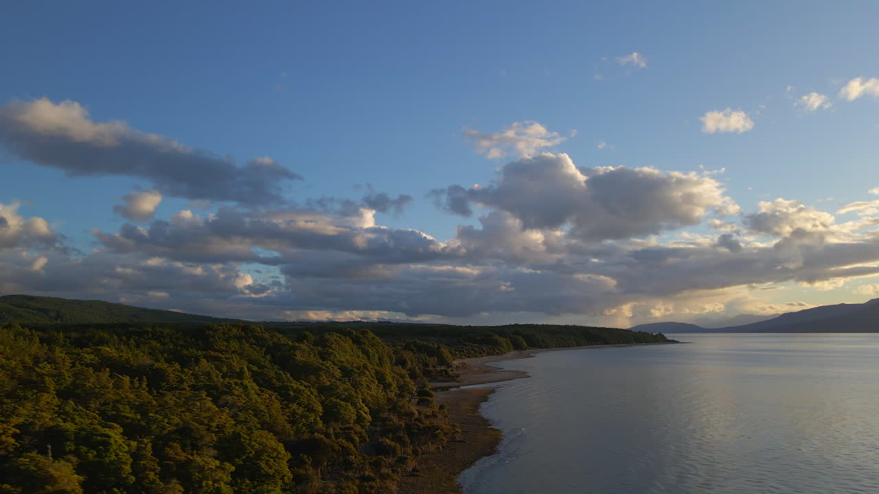 vista deslizante ascendente de densos árboles verdes en un bosque junto al lago te anau en nueva zelanda