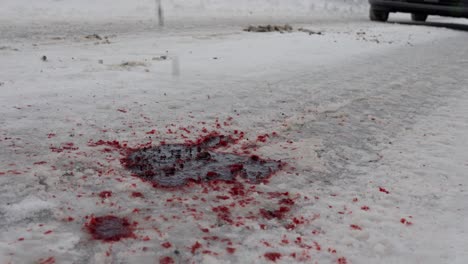 pulsating blood spilled on snowy road