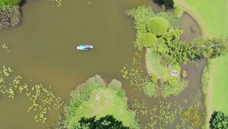 volando por encima de una mujer joven de pie remando en una tabla de apoyo en el estanque en verano