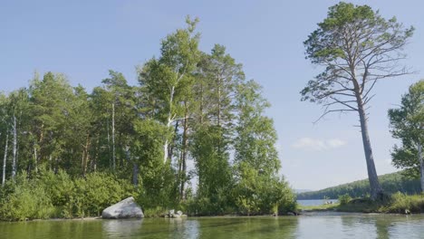 serene lakeside forest scenery