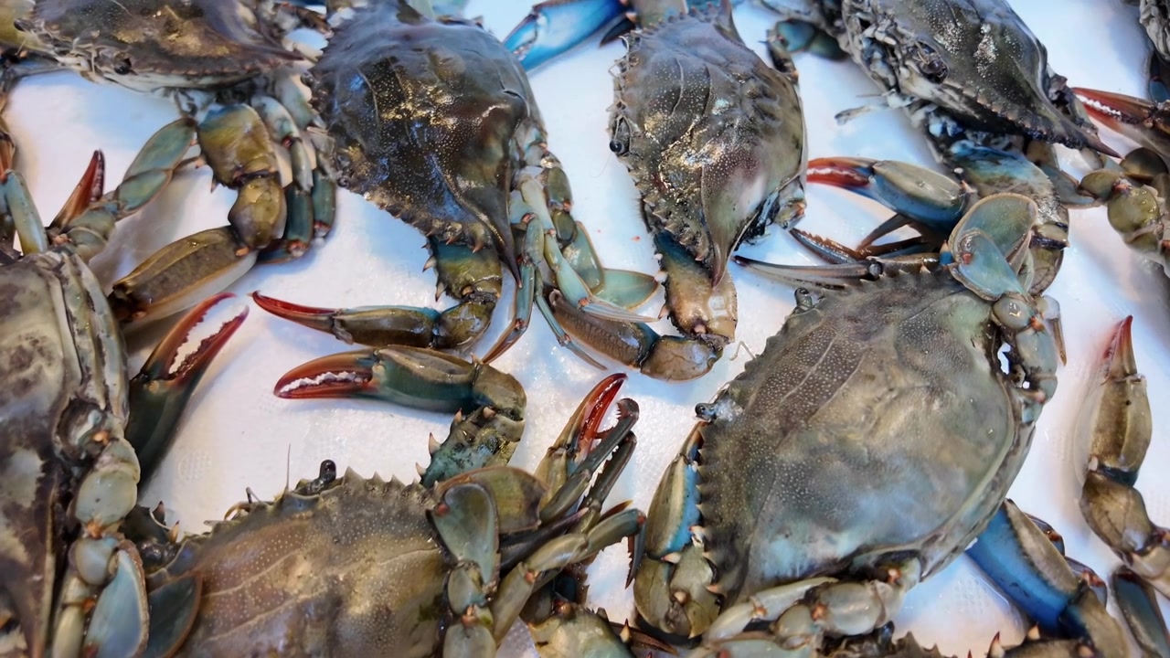 Fresh Raw Blue Crabs on Display at a Seafood Market