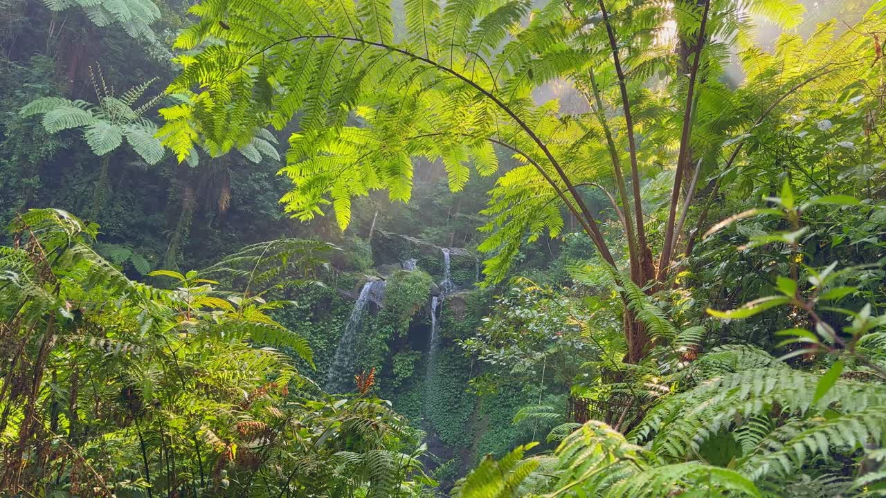 Lush Waterfall Scene in a Tropical Forest