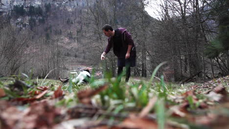 entrenando pacientemente un border collie para la disciplina en suiza