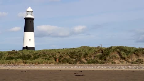 composed gliding lighthouse with bushes, sand and sky proportional