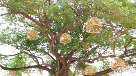 lights hanging from tree branches near pavilion structure