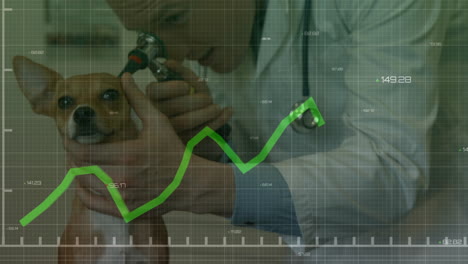 veterinarian using otoscope on dog in vet clinic, overlaying green line chart and numeric data