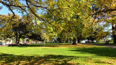 peaceful park scene with autumn foliage