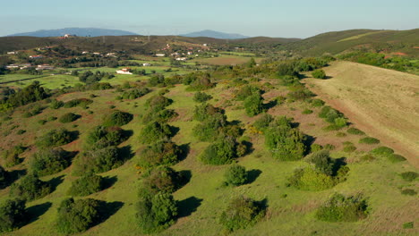 Aerial:-Agriculture-in-the-Algarve,-Portugal