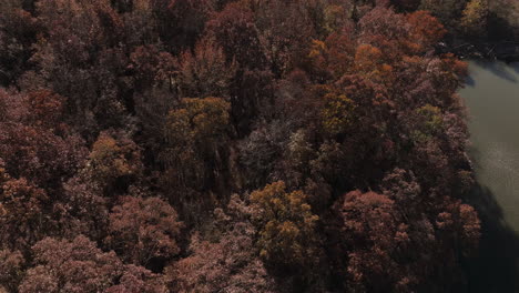 Vista-Aérea-Del-Colorido-Bosque-Otoñal-En-El-Parque-Estatal-Lake-Fort-Smith,-Arkansas,-Estados-Unidos---Disparo-De-Drones