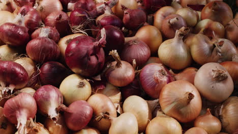 the harvest of onions lies on the ground 4