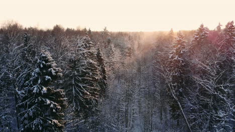 4k.-Flug-über-Dem-Winterwald-Im-Norden,-Luftaufnahme-Von-Oben.