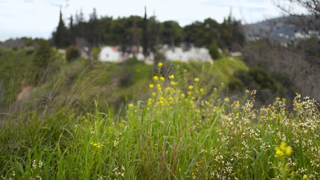 Small christian orthodox cemetery revealed behind green field with daises , tilt up shot 4K