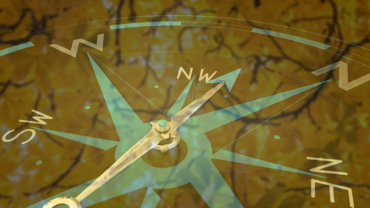 animación de la brújula moviéndose sobre el bosque