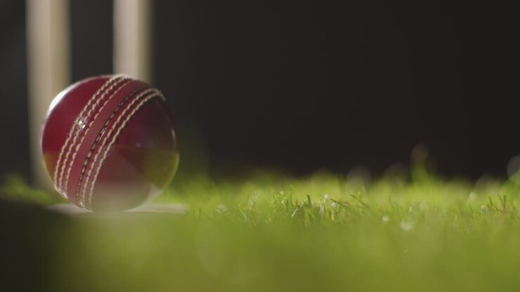 Natura morta di cricket con primo piano di palla su mazza adagiata sull'erba davanti ai paletti 2